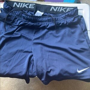 Nike Dri-Fit Shorts